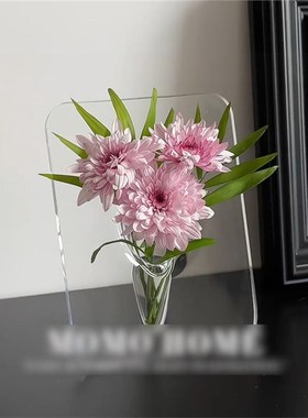 花瓶相框创意轻奢高级感花束办公室宿舍亚克力桌面艺术透明摆件