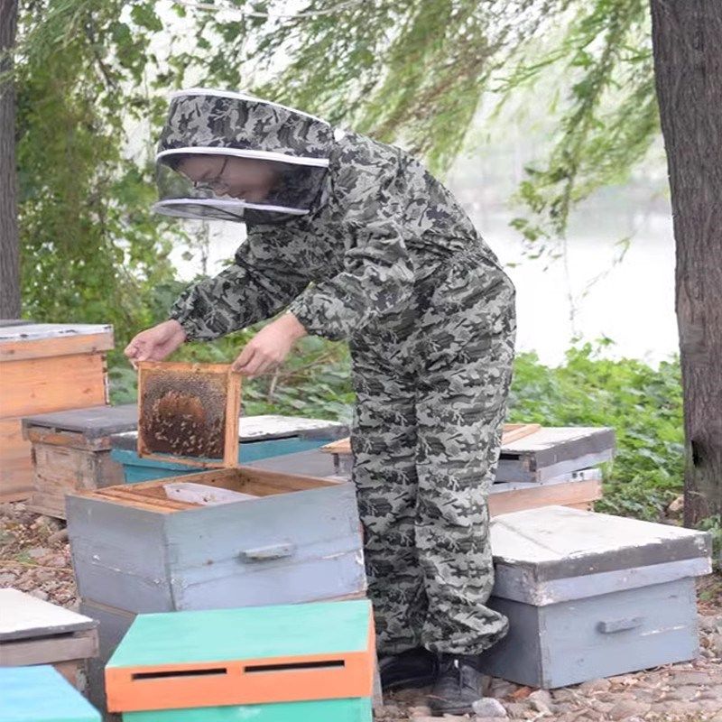 防蜂服全套分体养峰衣透气蜜蜂防护服专用加厚蜂帽连体养蜂防蜂衣,淘宝优惠券,粉丝福利购,淘宝优惠卷