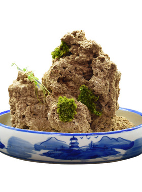 上水石原石天然吸水石盆景摆件麦管石假山原石奇石造景水秀石包邮