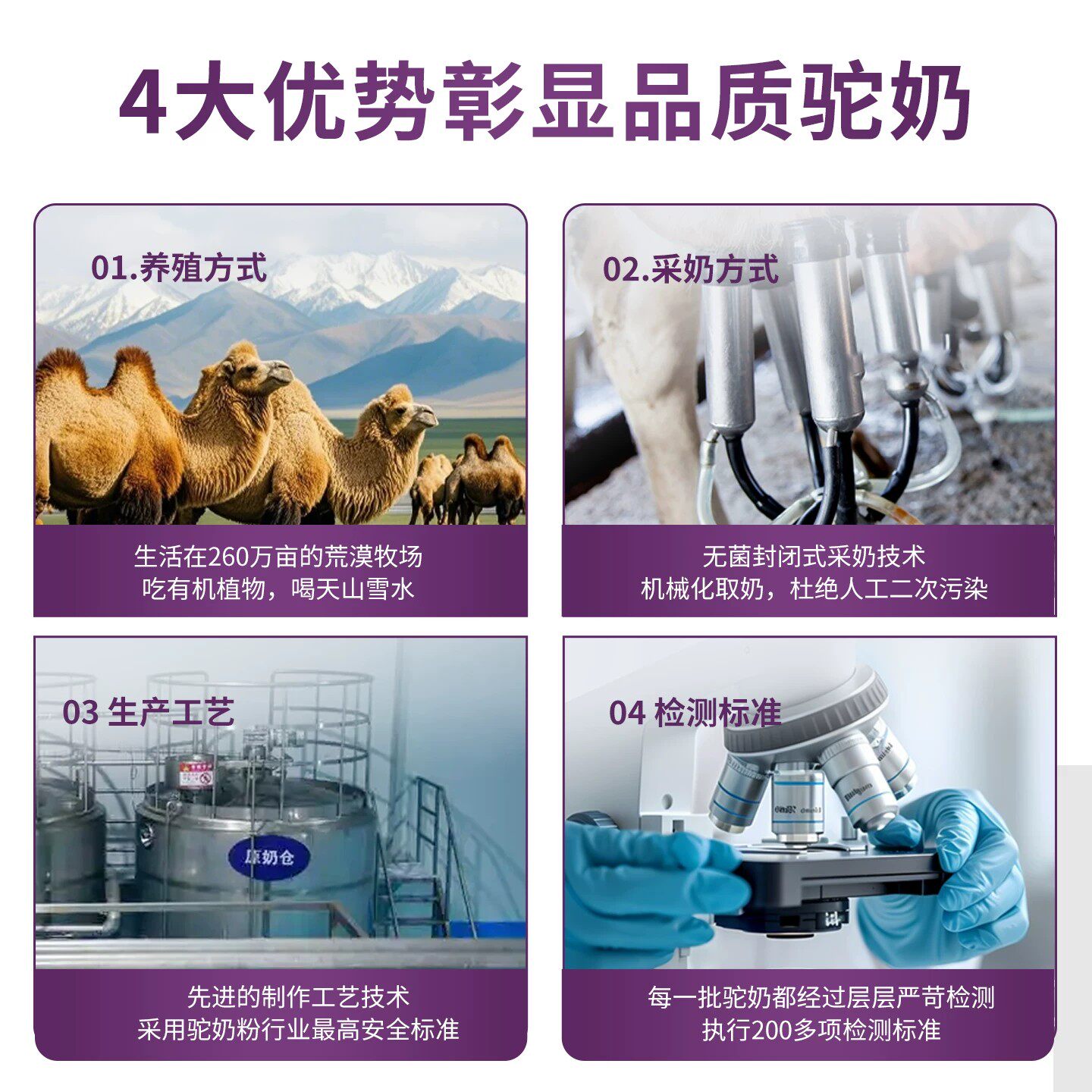 骆驼冠驼奶粉富硒初乳配方驼乳粉益生菌骆乳新疆驼奶营养粉