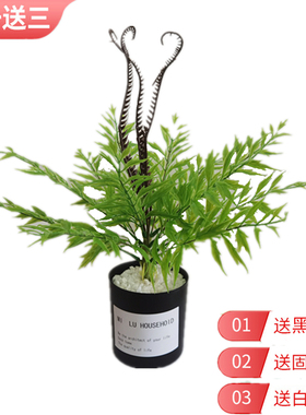 北欧仿真绿植物小盆栽龟背竹旅人蕉盆景客厅摆件装饰多肉塑料假花