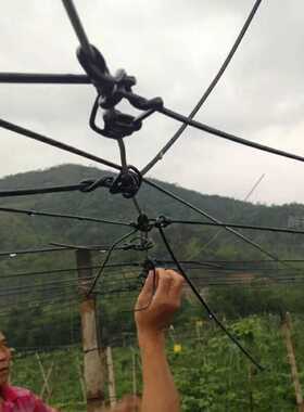塑钢线托膜线大棚线百香果专用线