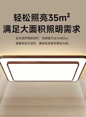 客厅大灯吸顶灯卧室灯主灯套餐2025新款现代简约中古风主卧房间灯