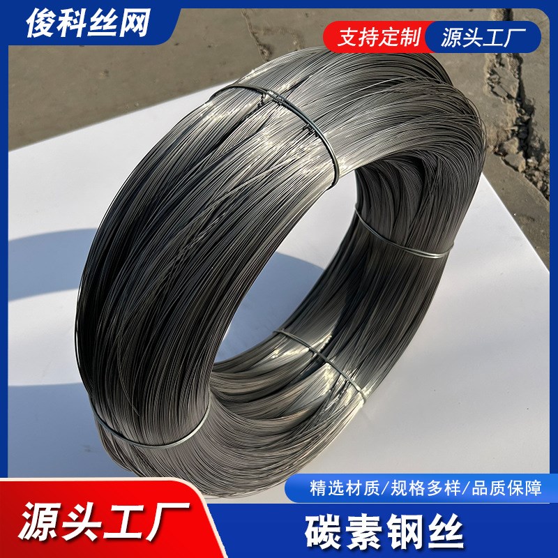 厂家现货高级碳素弹簧钢丝65mn 镀锌热镀锌钢丝 双股镀锌钢丝 - 图2