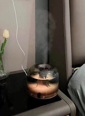 捷博家桌面小型迷你静音加湿器卧室孕妇婴儿空调房暖气加湿机USB