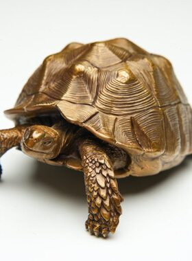 博物志 铁拳匠造 乌龟系列第五弹 青铜茶宠 苏卡达陆龟模型摆件