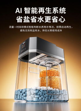 中央软水机全屋软水系统家用