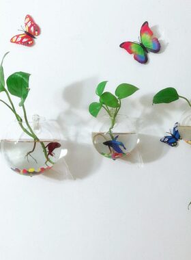 墙面水培植物玻璃花瓶壁挂小鱼缸简约餐厅卧室挂墙上装饰绿萝花盆