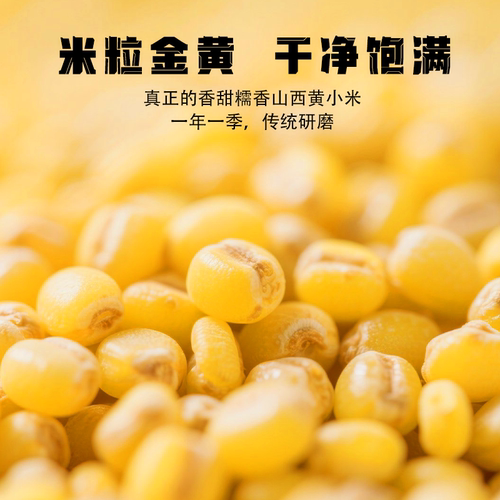 晋丰康2斤山西忻州黄小米新米农家小黄米五谷杂粮新鲜粗粮小米粥 - 图2
