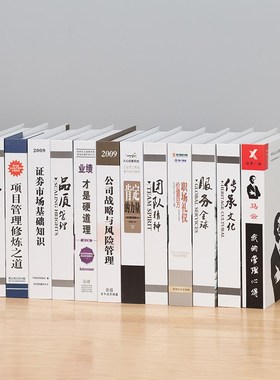 假代中文企业经济管理现书仿壳书办公室书柜装饰书真子桌面摆件