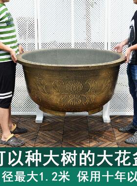 1米大花盆种盆景树果口径