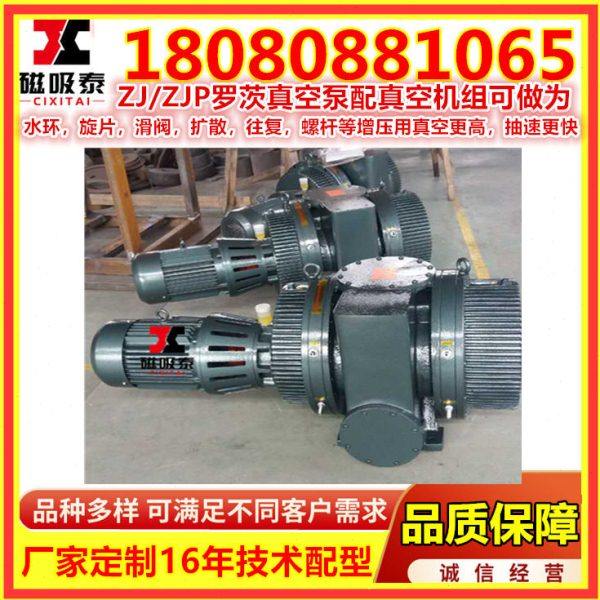 南通ZJP-300罗茨真空泵 罗茨式真空泵机组 真空铁矿厂ZJ罗茨泵,淘宝优惠券,粉丝福利购,淘宝优惠卷