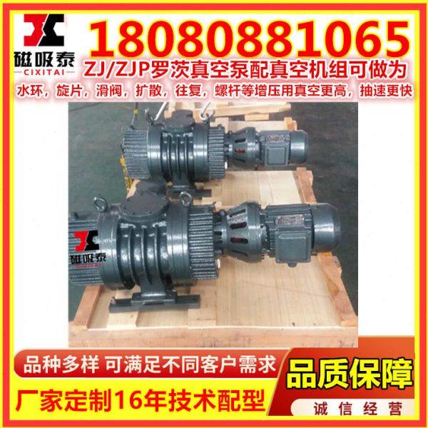 南通ZJP-300罗茨真空泵 罗茨式真空泵机组 真空铁矿厂ZJ罗茨泵,淘宝优惠券,粉丝福利购,淘宝优惠卷