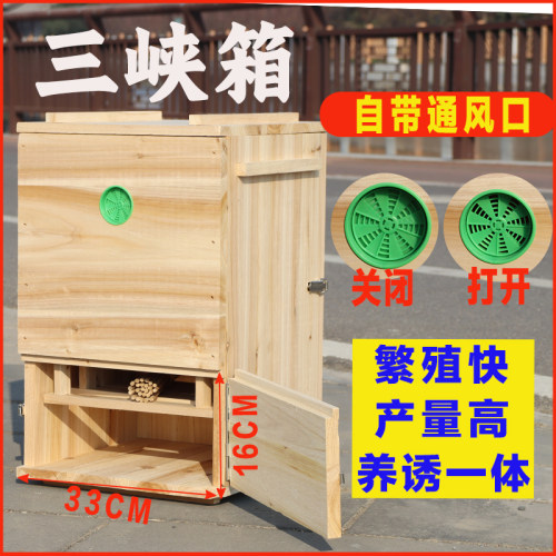 三峡活框蜂箱木质蜂蜜桶无需组装成品发货碳化烘干养蜂设备 - 图1