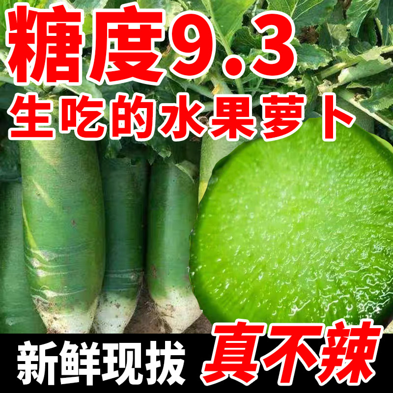 正宗潍坊生吃水果萝卜脆甜新鲜潍县特产冰激凌天星2号沙窝青萝卜,淘宝优惠券,粉丝福利购,淘宝优惠卷