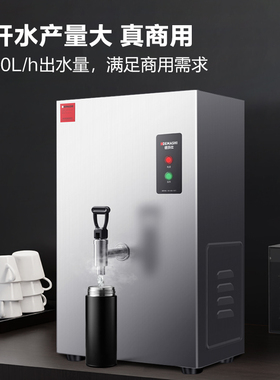 德玛仕开水器商用开水机烧水器电热工厂公司用全自动直饮水热水机