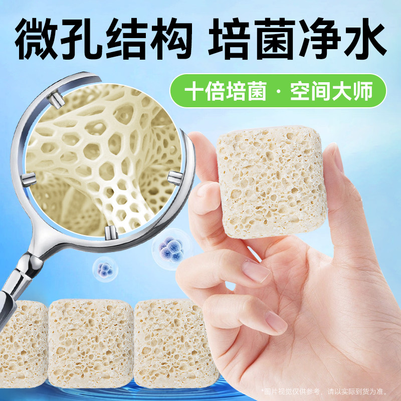 滤材鱼缸过滤材料珊瑚骨滤材鱼缸专用鱼池净水海缸培菌珊瑚石滤材,淘宝优惠券,粉丝福利购,淘宝优惠卷