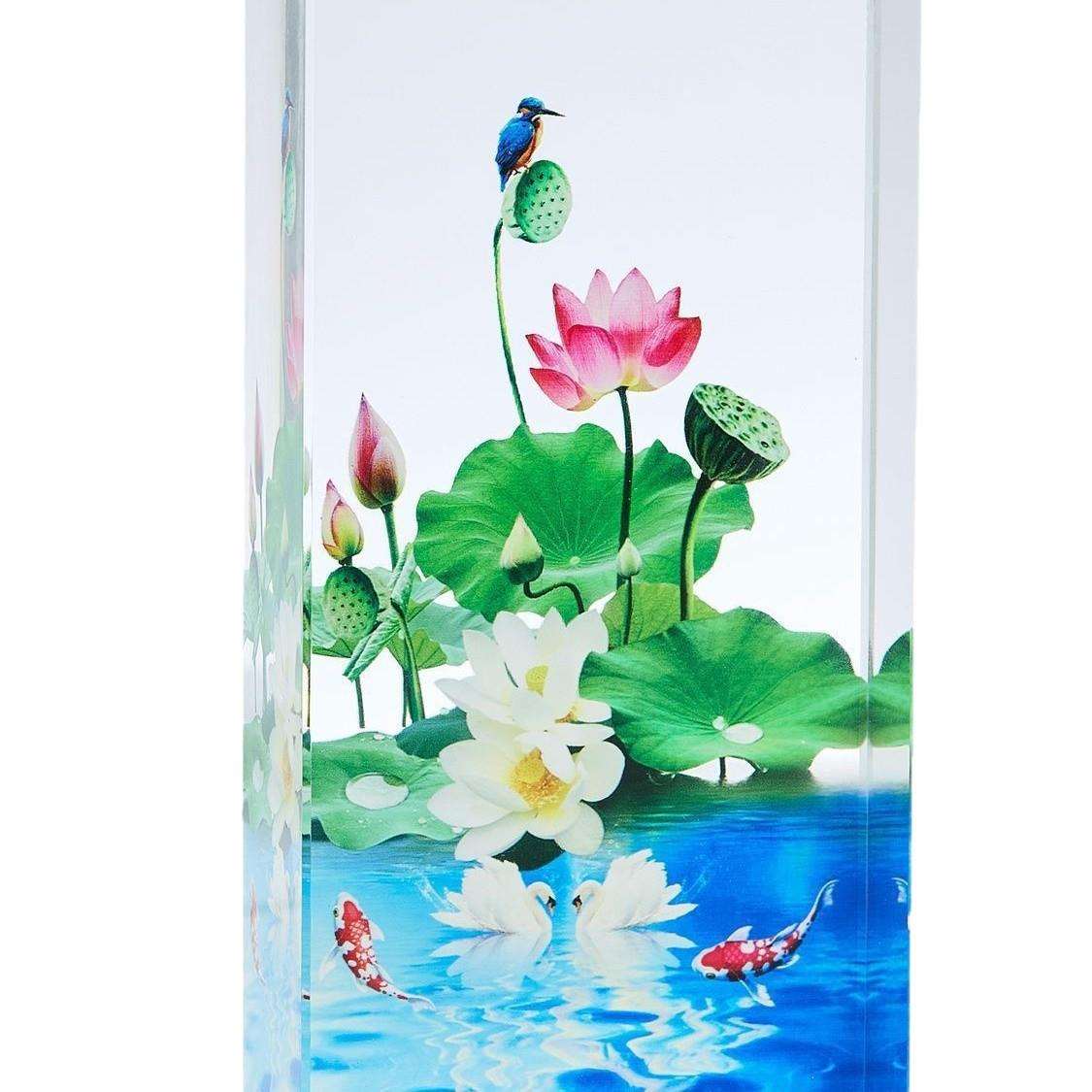 图5