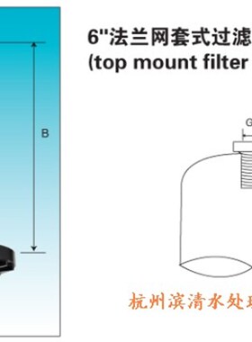 滨清 6寸法兰网套式过滤型侧装上布水器  砂缸布水器 精度0.5mm