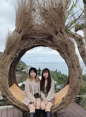 抖音户外网红鸟巢景区打卡摄影创意道具民宿秋千爱心巴厘岛鸟巢椅
