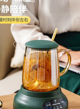 特莱雅养生杯办公室小型煮茶器家用多功能迷你玻璃煮花茶壶一人用