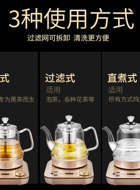 至异煮茶壶黑茶煮茶器家用全自动蒸汽喷淋式玻璃办公室花茶养生壶