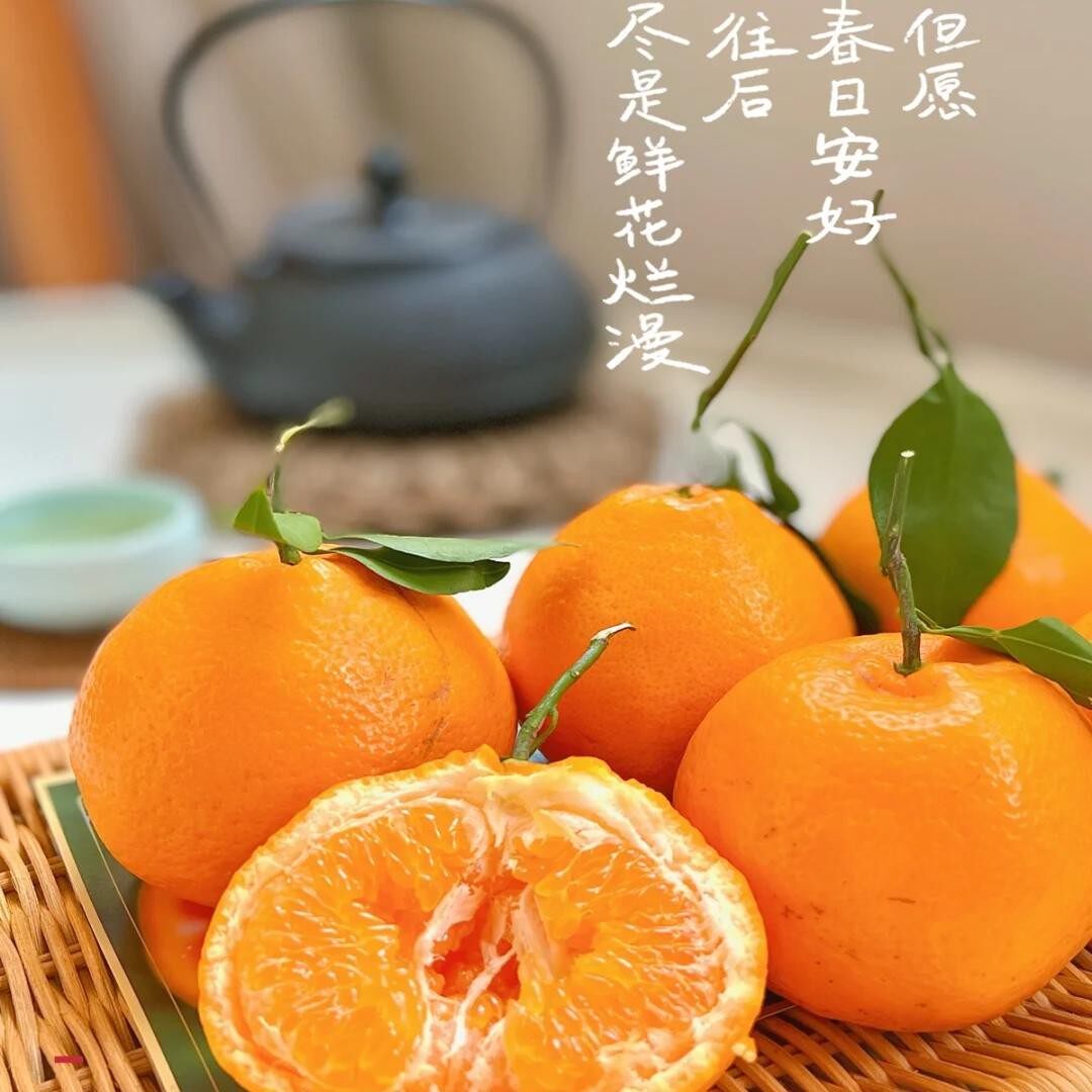 正宗四川春见耙耙柑【蒲江果园直发】应季新鲜水果彩箱装