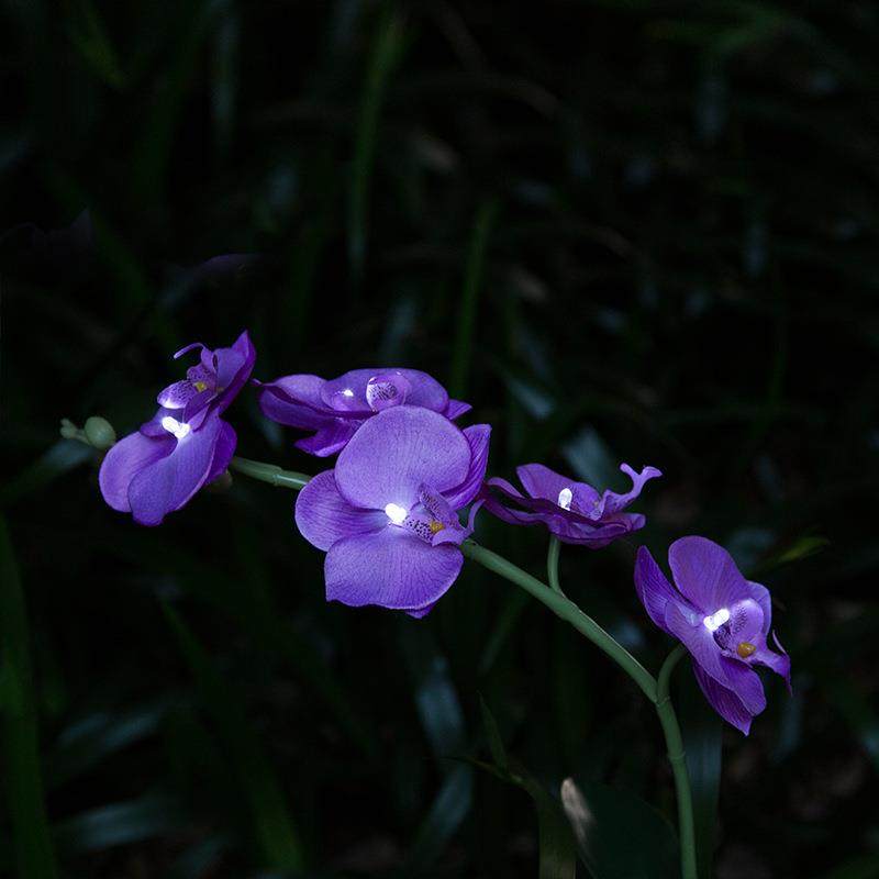 太阳能5LED蝴蝶兰花灯LED兰花紫色粉红白色兰花灯仿真花园草坪灯,淘宝优惠券,粉丝福利购,淘宝优惠卷