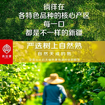 真宜健双娇系列女士款原浆果蔬泥108g*2袋[10元优惠券]-寻折猪