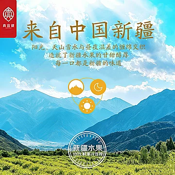 真宜健双娇系列女士款原浆果蔬泥108g*2袋[10元优惠券]-寻折猪