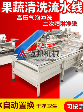 冻干蔬菜清洗切割漂烫冷却设备