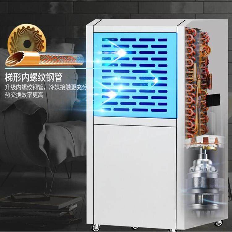 别60L小型家用湿除器负离子自动除仓湿FSL器墅地下室库大功率抽湿,淘宝优惠券,粉丝福利购,淘宝优惠卷