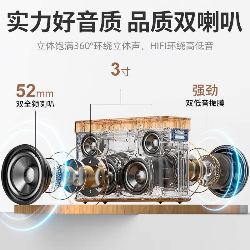 纽曼N505话筒音箱家庭ktv音响套装家用音箱手提双话筒K歌麦克风,淘宝优惠券,粉丝福利购,淘宝优惠卷