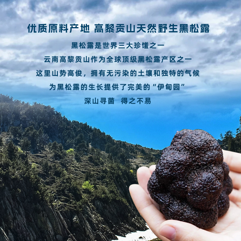 树露云南野生黑松露蘑菇酱拌饭180g