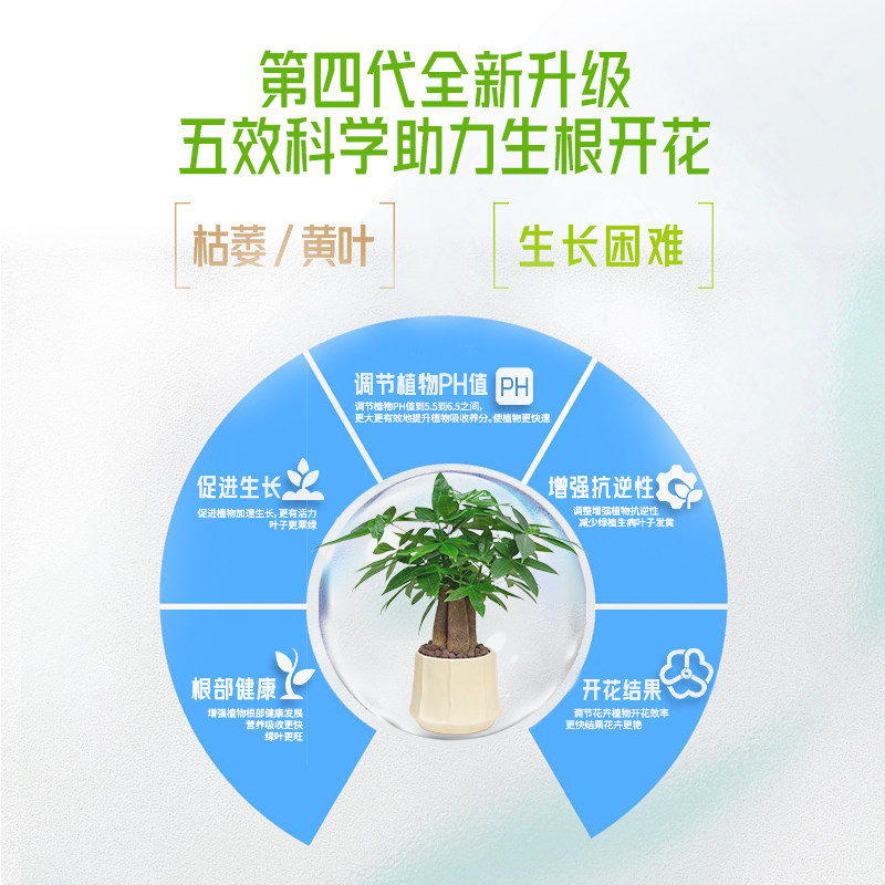 发财树专用营养液黄叶枯叶烂根专用药室内盆栽绿植植物通用肥料,淘宝优惠券,粉丝福利购,淘宝优惠卷