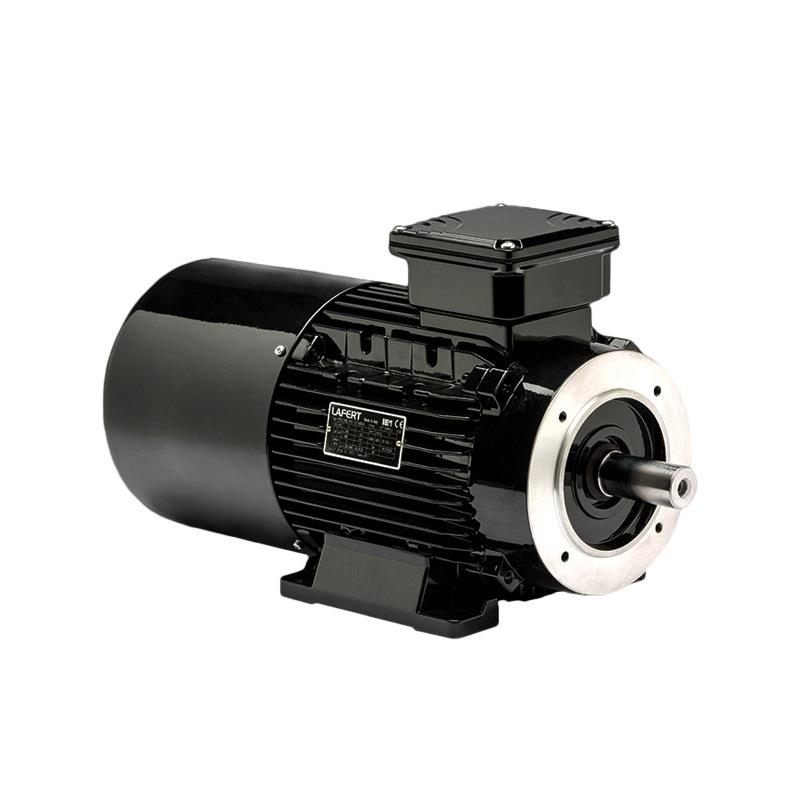 现货意大利LAFERT拉菲特三相直流刹车电动机AMBY系列0.12KW至22KW - 图3