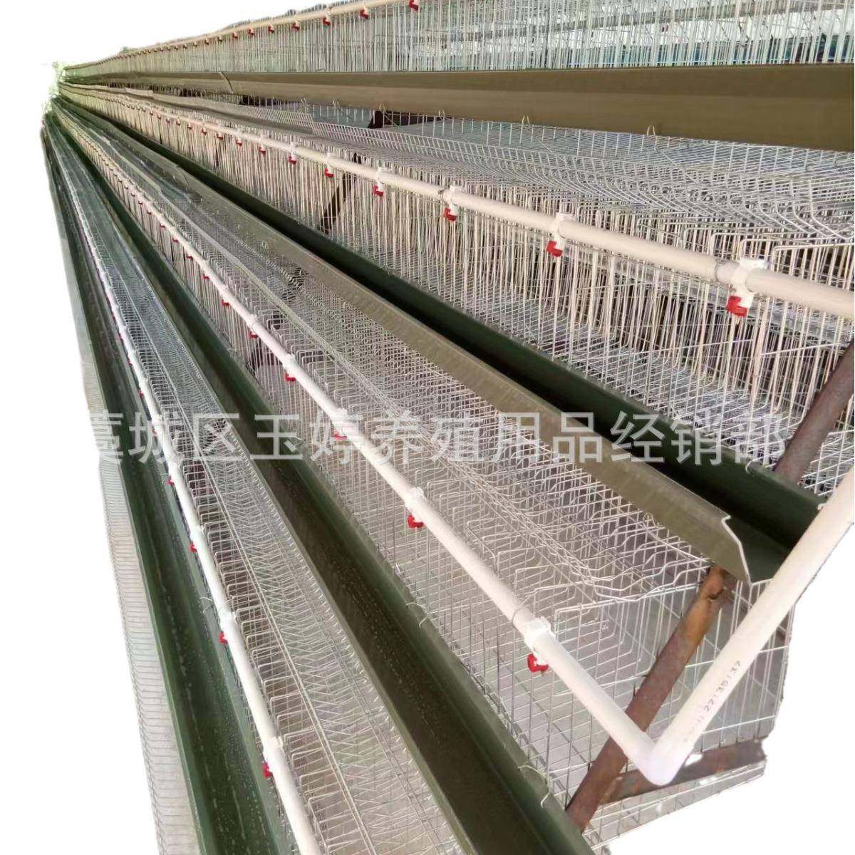 蛋鸡笼厂家镀锌养殖蛋鸡笼层叠式阶梯式鸡笼全自动养殖场,淘宝优惠券,粉丝福利购,淘宝优惠卷