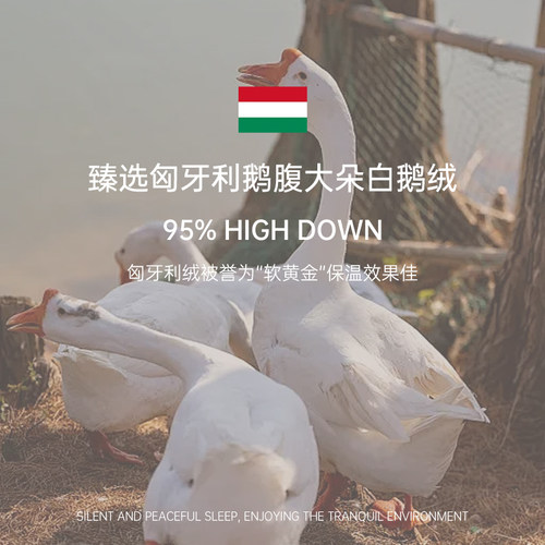 梵诗亚朵五星级酒店专用白鹅羽绒枕头护颈椎助睡眠芯成人羽绒枕芯 - 图3