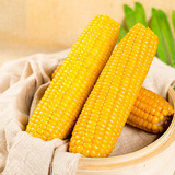 生鲜糯玉米真空包装6根*250g  券后12.51元包邮