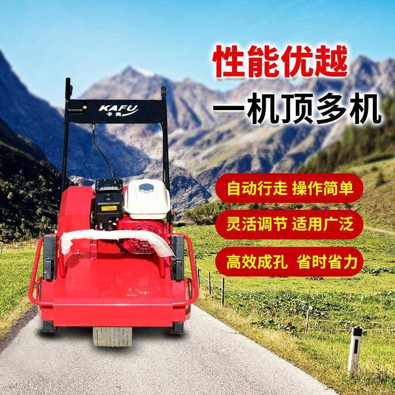 草坪打孔机手推式汽油草坪养护打眼机园林农用草坪打洞机,淘宝优惠券,粉丝福利购,淘宝优惠卷