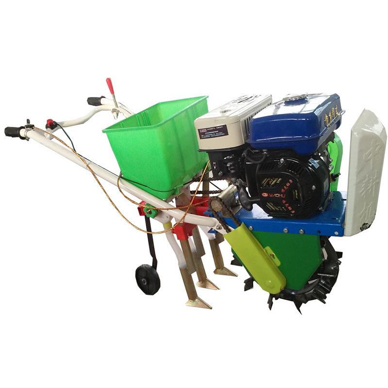 播新型种米汽油玉种机黑豆播COT种机新款蔬菜播机 - 图1