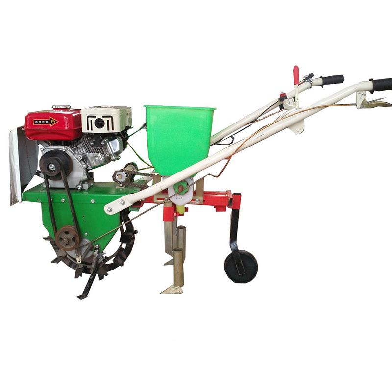 播新型种米汽油玉种机黑豆播COT种机新款蔬菜播机 - 图2