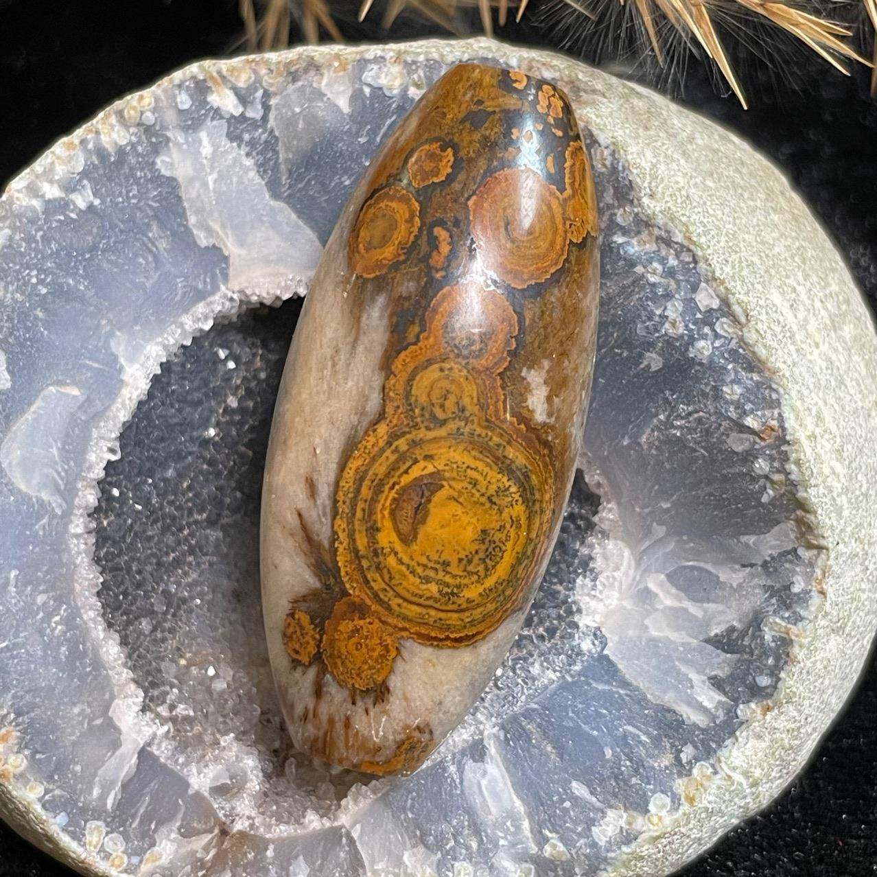 蒙天珠九眼石页岩天珠象形天珠配饰,淘宝优惠券,粉丝福利购,淘宝优惠卷