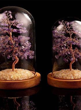 黄财水晶紫水晶粉晶碧玺橄榄石紫晶招发EUK树微景观家玻璃罩居摆