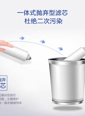 飞利浦净水器滤芯WP3965WP3966炭棒CP适用于WP4142WP4143AUT3011