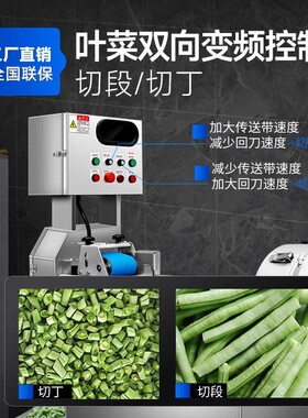 驰能切菜机商用双头电动多功能自动切片切丝机厨房用小型碎菜机