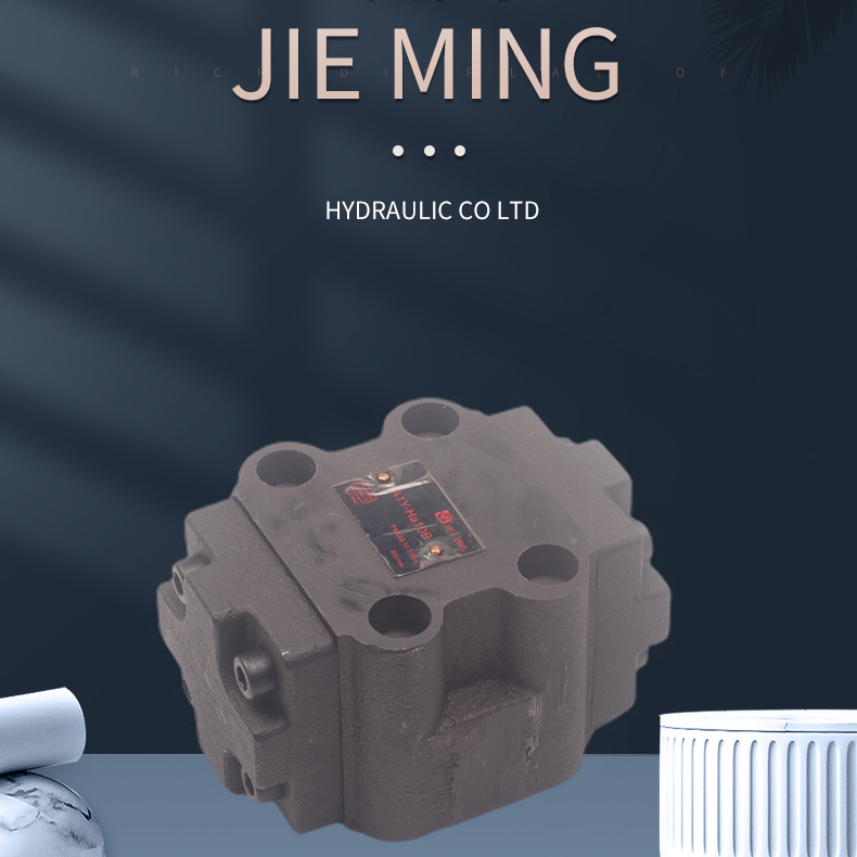 液控单向阀A1Y-Ha10B AIY-Ha20L A1Y-Hb20L - 图0