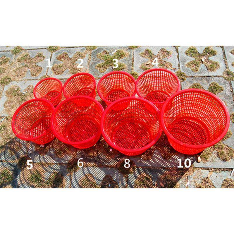 ZQ圆形草莓蓝子手提塑料篮水果园蔬菜篮采摘杨梅桑葚樱桃枇杷,淘宝优惠券,粉丝福利购,淘宝优惠卷