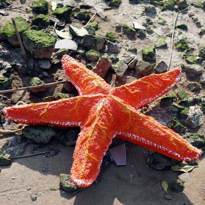 仿真海洋动物雕塑大珊瑚贝壳海星海螺玻璃钢摆件海洋馆景观装饰品,淘宝优惠券,粉丝福利购,淘宝优惠卷