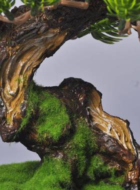 禅意中样式茶盆桌景微景观仿M00121真绿植物盆栽家居房客厅售楼处